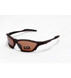 Oakley Glasses-0234