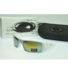 Oakley Glasses-0824