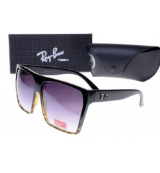 Ray-ban Glasses-1005