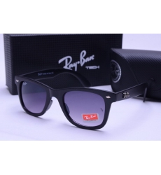 Ray-ban Glasses-1348