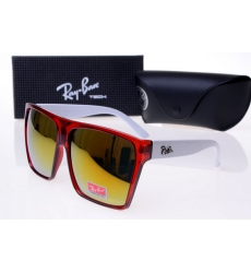 Ray-ban Glasses-1486